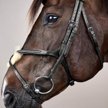 Gevlochten Lage Neusriem Hoofdstel New English Collection Dy'on Zwart