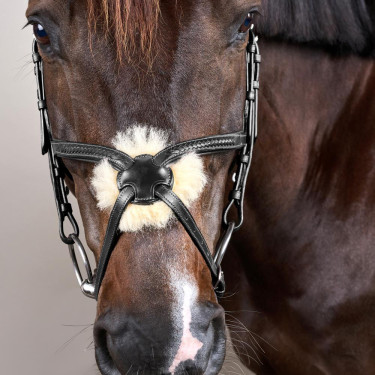 Gevlochten Lage Neusriem Hoofdstel New English Collection Dy'on Zwart