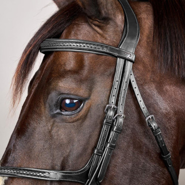 Gevlochten Lage Neusriem Hoofdstel New English Collection Dy'on Zwart