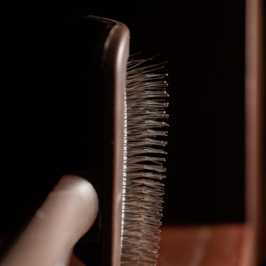 Brosse pour nettoyer les velcros Grooming Deluxe Beige