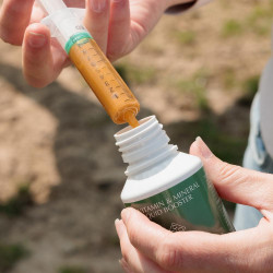 Vitamine- en Mineralen Vloeibare Booster Grooming Deluxe van Kentucky