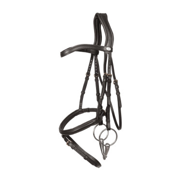 Bridon Muserolle Combinée Dy'on en Cuir Souple Noir