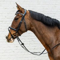 Bridon Muserolle Combinée Dy'on en Cuir Souple Noir