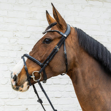Dy'on hoofdstel met gecombineerde, middelhoge neusriem van soepel leer Zwart
