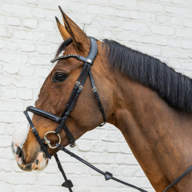 Dy'on hoofdstel met gecombineerde, middelhoge neusriem van soepel leer Zwart