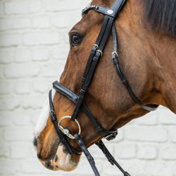 Bridon Muserolle Moyenne Combinée Cuir Souple Dy'on Noir