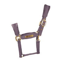 Licol Velvet Kentucky Violet Licol Velvet Kentucky Violet