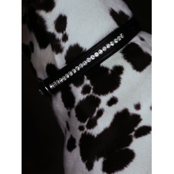 Collier pour chien Equestrian Stockholm strass Noir édition