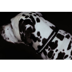 Hondenhalsband Equestrian Stockholm met strass Zwarte editie Hondenhalsband Equestrian Stockholm met strass Zwarte editie