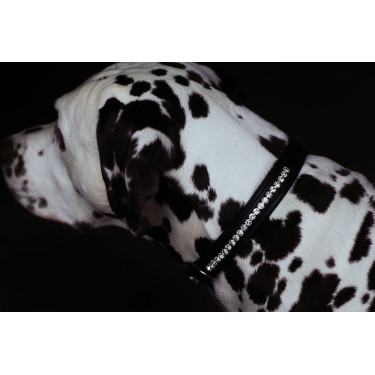 Hondenhalsband Equestrian Stockholm met strass Zwarte editie Hondenhalsband Equestrian Stockholm met strass Zwarte editie
