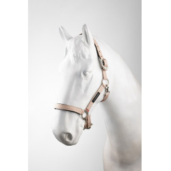 Licol Hardwick B Vertigo Sepia rose