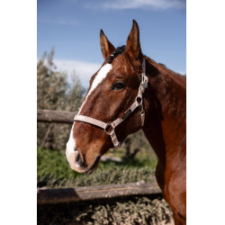 Halster Hardwick B Vertigo Sepia roze