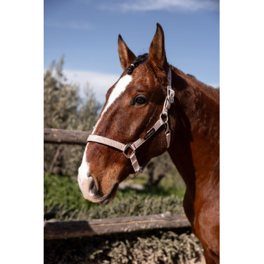 Licol Hardwick B Vertigo Sepia rose