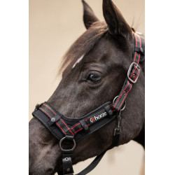 Licol Cairo Infra-Rouge Horze Gris anthracité foncé