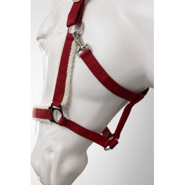 Licol de Noël Horze Port Royale Bordeaux Licol de Noël Horze Port Royale Bordeaux