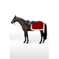 Couvre-reins de Noël 2024 Horze Port Royale Bordeaux