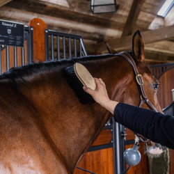 Brosse classique en bois longue douce Grooming Deluxe Noir