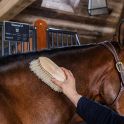 Brosse classique en bois longue douce Grooming Deluxe