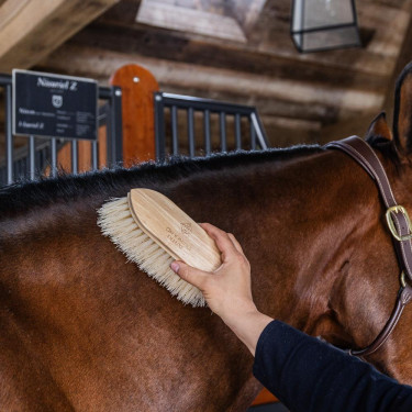 Brosse classique en bois longue douce Grooming Deluxe