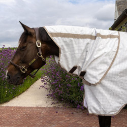 Couverture anti-dermite & d’été Comfort Kentucky Blanc