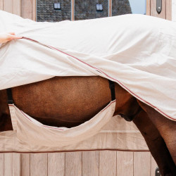 Couverture anti-mouches Comfort Classic avec Couvre-cou & Ventre Kentucky Beige / bordeaux