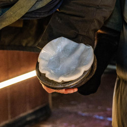 EquiTex Hoof Grooming Deluxe EquiTex Hoof Grooming Deluxe