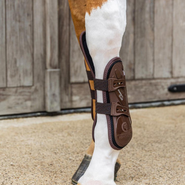 Voorste beenbeschermers met elastische bescherming van de carpus Kentucky Bruin