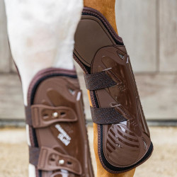 Guêtres antérieures avec protection du carpe élastique Kentucky Marron