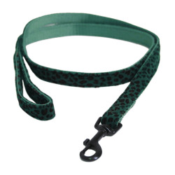 Laisse pour chien Léopard Kentucky Vert sapin Laisse pour chien Léopard Kentucky Vert sapin