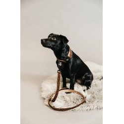 Laisse pour chien Léopard Kentucky Marron léopard