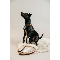 Laisse pour chien Léopard Kentucky Marron léopard