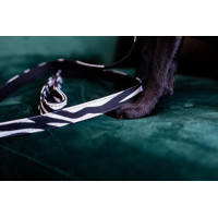 Kentucky hondenriem Zebra Zebra Motieven