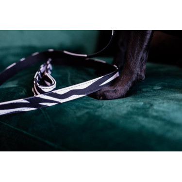 Laisse pour chien Zebra Kentucky
