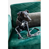 Laisse pour chien Zebra Kentucky Zebra Motifs