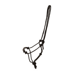 Licol en corde Kentucky Noir