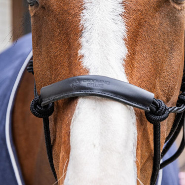 Licol en corde Kentucky