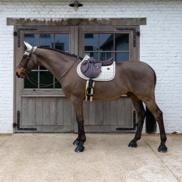 Tapis de Selle Velvet Horse Printing Jumping Kentucky
