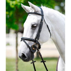 Bridon têtière Tattini frontal licol rembourrés