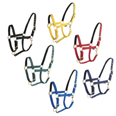 Licol Daslö nylon doublure nubuck Licol Daslö nylon doublure nubuck