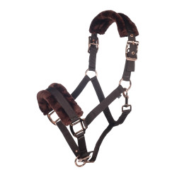 Licol Rosegold Glamour Style HKM Marron / or rose