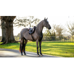 Hunter LeMieux Merino+ zadeldek Hunter LeMieux Merino+ zadeldek