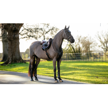 Tapis de Hunter LeMieux Merino+ Tapis de Hunter LeMieux Merino+