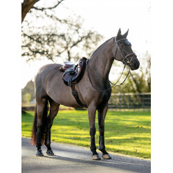 Tapis de Hunter LeMieux Merino+ Tapis de Hunter LeMieux Merino+