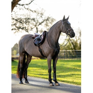 Tapis de Hunter LeMieux Merino+ Tapis de Hunter LeMieux Merino+