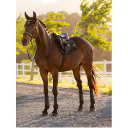 Tapis de selle LeMieux Loire Square mixte Noir Tapis de selle LeMieux Loire Square mixte Noir