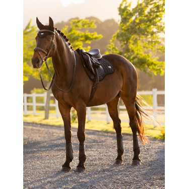 Tapis de selle LeMieux Loire Square mixte Noir Tapis de selle LeMieux Loire Square mixte Noir