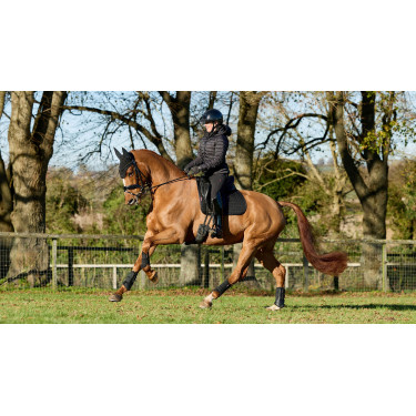 Tapis LeMieux ProSport Dressage SQ Plain Standard Strap Noir Tapis LeMieux ProSport Dressage SQ Plain Standard Strap Noir