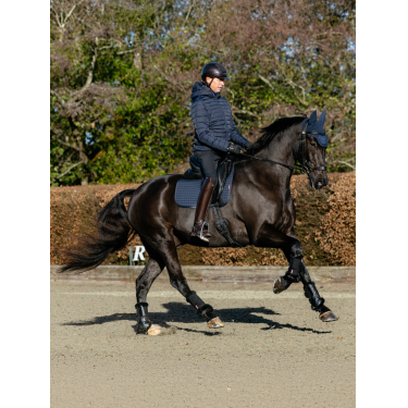 Tapis LeMieux ProSport Dressage SQ Plain Standard Strap Marine Bleu marine