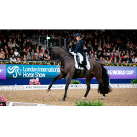 Tapis LeMieux ProSport Dressage SQ Plain Standard Strap Blanc