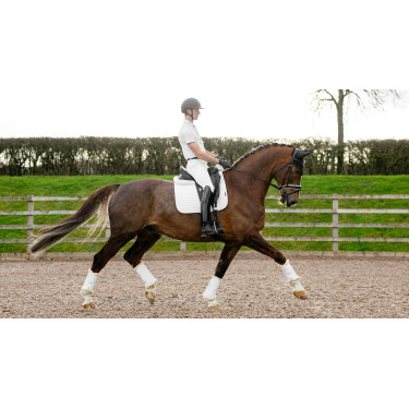 Tapis LeMieux Reflective Suede Dressage Square Blanc